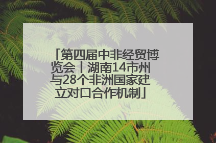 第四届中非经贸博览会丨湖南14市州与28个非洲国家建立对口合作机制