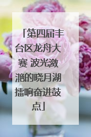第四届丰台区龙舟大赛 波光潋滟的晓月湖擂响奋进鼓点