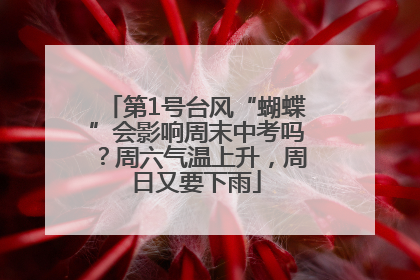 第1号台风“蝴蝶”会影响周末中考吗？周六气温上升，周日又要下雨