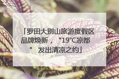 罗田大别山旅游度假区品牌焕新，“19℃凉都” 发出清凉之约