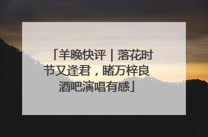 羊晚快评｜落花时节又逢君，睹万梓良酒吧演唱有感