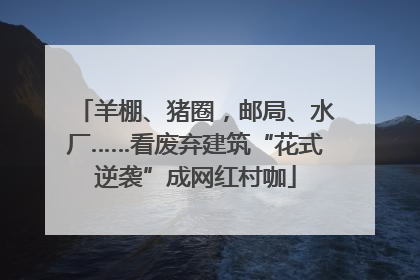 羊棚、猪圈，邮局、水厂……看废弃建筑“花式逆袭”成网红村咖