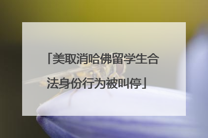 美取消哈佛留学生合法身份行为被叫停