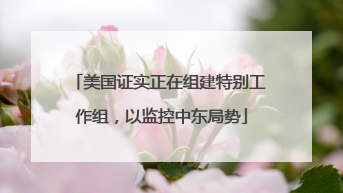 美国证实正在组建特别工作组，以监控中东局势