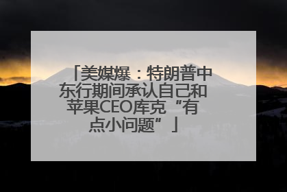 美媒爆：特朗普中东行期间承认自己和苹果CEO库克“有点小问题”