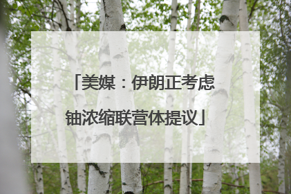 美媒：伊朗正考虑铀浓缩联营体提议