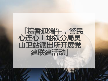 粽香迎端午，警民心连心！地铁分局灵山卫站派出所开展党建联建活动