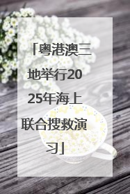 粤港澳三地举行2025年海上联合搜救演习