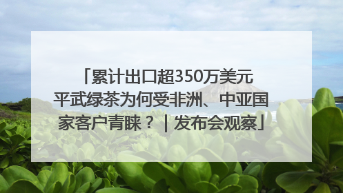 累计出口超350万美元 平武绿茶为何受非洲、中亚国家客户青睐？｜发布会观察