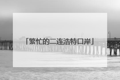 繁忙的二连浩特口岸