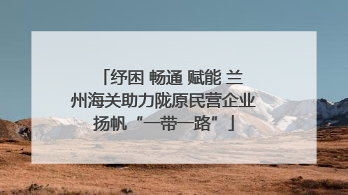 纾困 畅通 赋能 兰州海关助力陇原民营企业扬帆“一带一路”