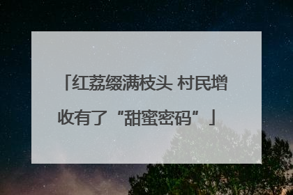 红荔缀满枝头 村民增收有了“甜蜜密码”