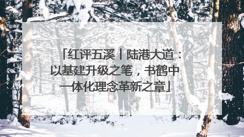 红评五溪丨陆港大道：以基建升级之笔，书鹤中一体化理念革新之章