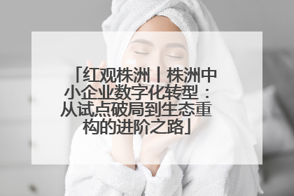 红观株洲丨株洲中小企业数字化转型：从试点破局到生态重构的进阶之路
