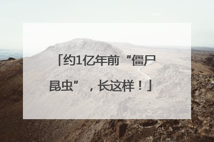 约1亿年前“僵尸昆虫”，长这样！