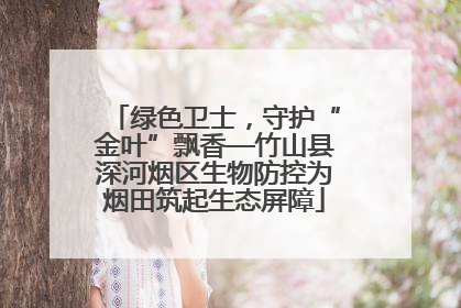 绿色卫士，守护“金叶”飘香—竹山县深河烟区生物防控为烟田筑起生态屏障