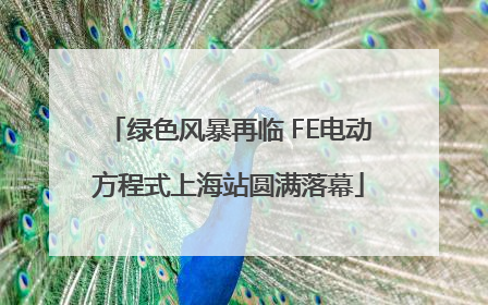 绿色风暴再临 FE电动方程式上海站圆满落幕