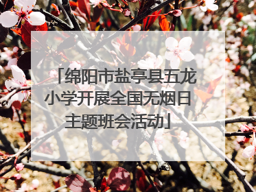 绵阳市盐亭县五龙小学开展全国无烟日主题班会活动