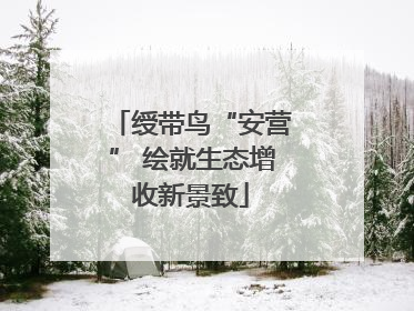 绶带鸟“安营” 绘就生态增收新景致