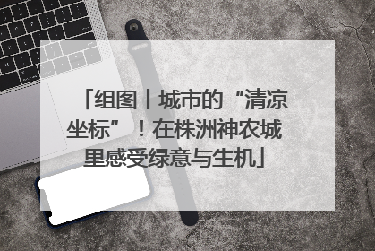 组图丨城市的“清凉坐标”！在株洲神农城里感受绿意与生机