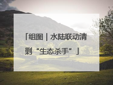 组图｜水陆联动清剿“生态杀手”