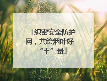 织密安全防护网，共绘烟叶好“丰”景