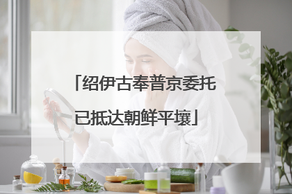 绍伊古奉普京委托已抵达朝鲜平壤