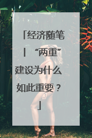 经济随笔丨“两重”建设为什么如此重要？