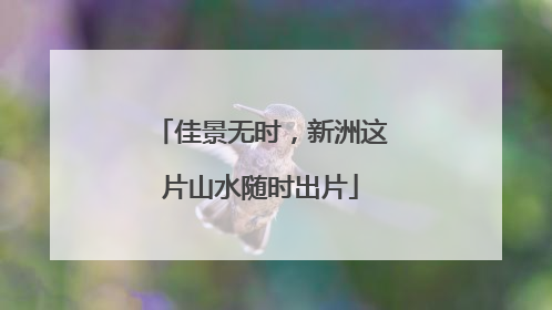 佳景无时，新洲这片山水随时出片