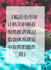 临沂全市审计机关积极在统筹推进基层监督体系建设中发挥职能作用