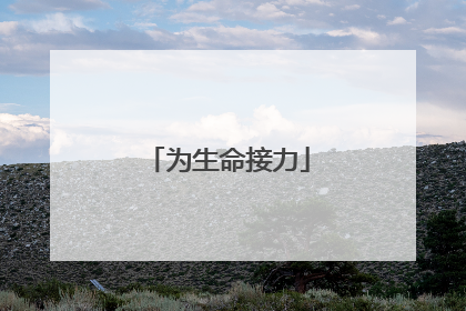 为生命接力