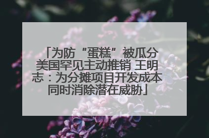 为防“蛋糕”被瓜分 美国罕见主动推销 王明志：为分摊项目开发成本同时消除潜在威胁