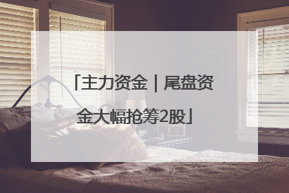 主力资金｜尾盘资金大幅抢筹2股