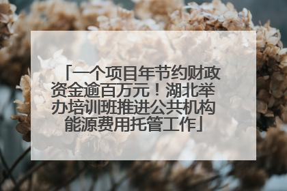 一个项目年节约财政资金逾百万元！湖北举办培训班推进公共机构能源费用托管工作