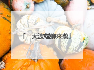 一大波螳螂来袭