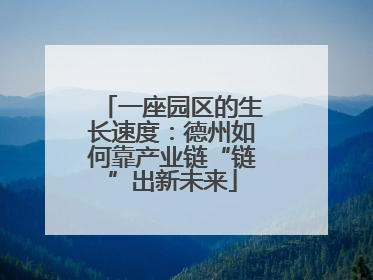 一座园区的生长速度：德州如何靠产业链“链”出新未来
