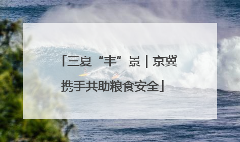 三夏“丰”景｜京冀携手共助粮食安全