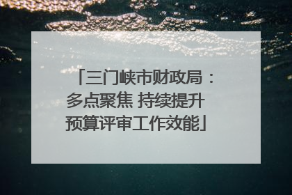 三门峡市财政局：多点聚焦 持续提升预算评审工作效能