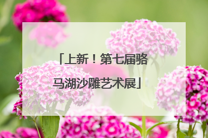 上新！第七届骆马湖沙雕艺术展