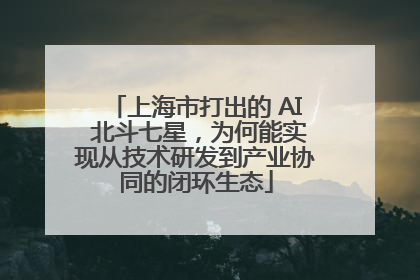 上海市打出的 AI 北斗七星，为何能实现从技术研发到产业协同的闭环生态