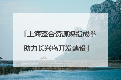 上海整合资源攥指成拳助力长兴岛开发建设