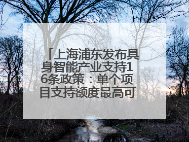 上海浦东发布具身智能产业支持16条政策：单个项目支持额度最高可达亿级