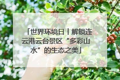 世界环境日丨解锁连云港云台景区“多彩山水”的生态之美