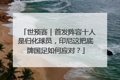 世预赛｜首发阵容十人是归化球员，印尼这把底牌国足如何应对？