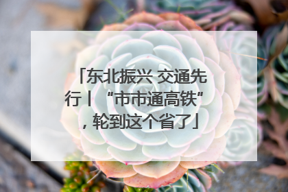 东北振兴 交通先行丨“市市通高铁”，轮到这个省了
