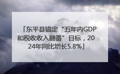 东平县锚定“五年内GDP和税收收入翻番”目标，2024年同比增长5.8%