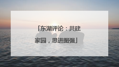 东湖评论：共建家园，思进图强