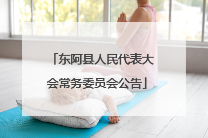 东阿县人民代表大会常务委员会公告