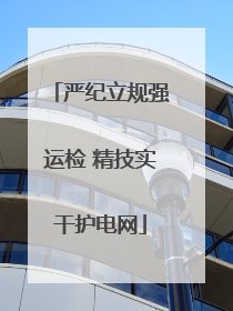 严纪立规强运检 精技实干护电网