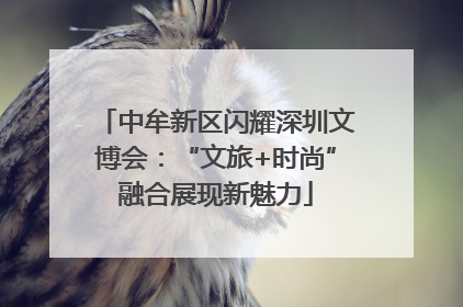 中牟新区闪耀深圳文博会：“文旅+时尚”融合展现新魅力